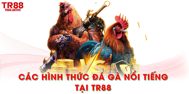 Các hình thức đá gà nổi tiếng tại TR88