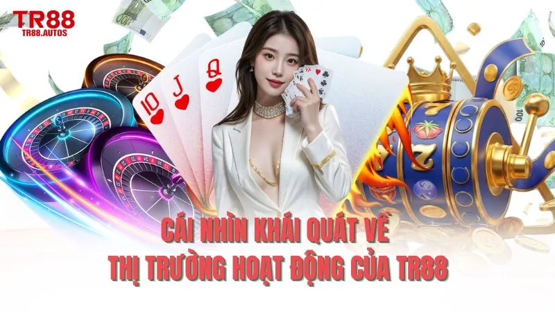 Cái nhìn khái quát về thị trường hoạt động của TR88