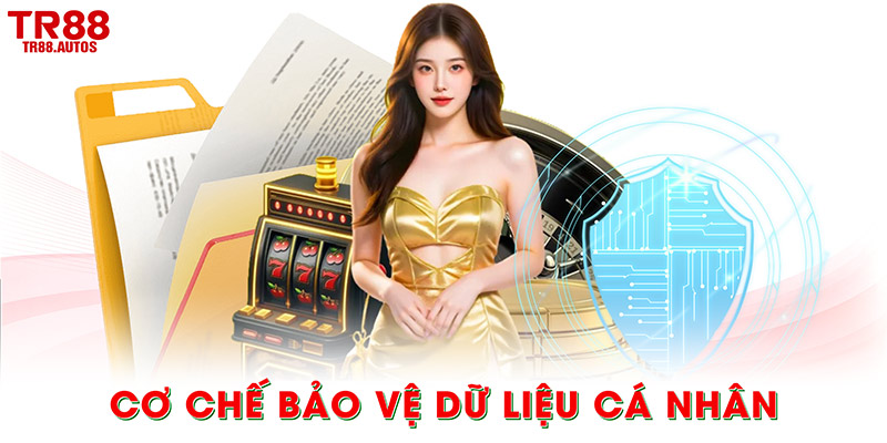 Hệ thống bảo mật tiên tiến và cơ chế bảo vệ dữ liệu cá nhân