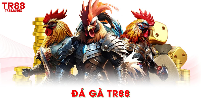 Đá gà TR88