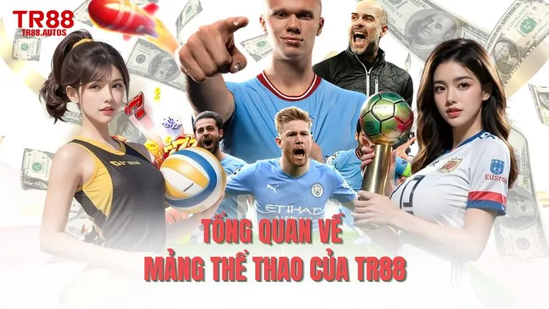 Tổng quan về mảng thể thao của TR88